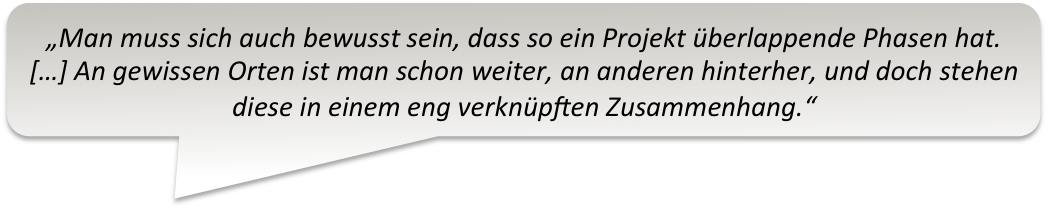 Sprechblase Projektmgmt10